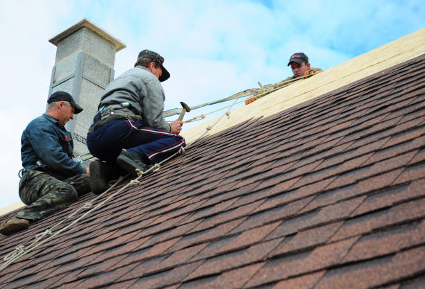 Roof Repair Estimates in Felton, DE